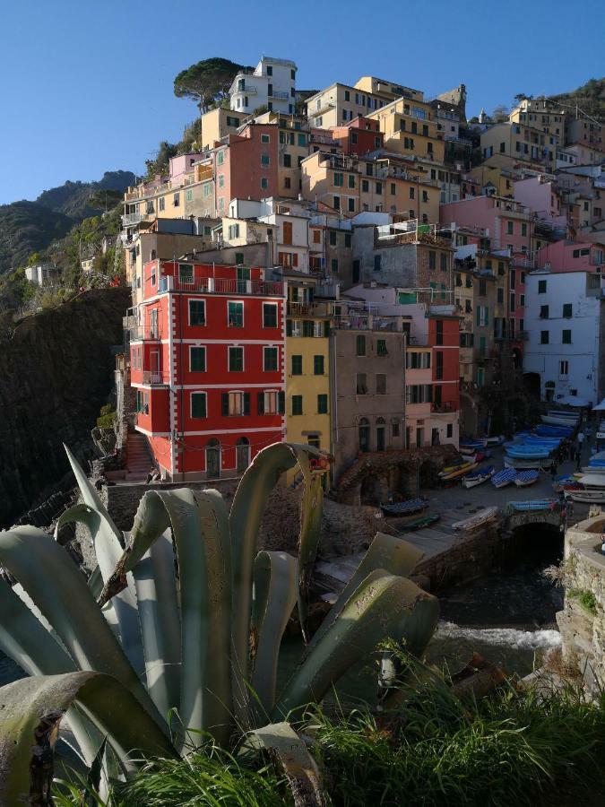 Il Giardino Di Riomaggiore Suite 외부 사진